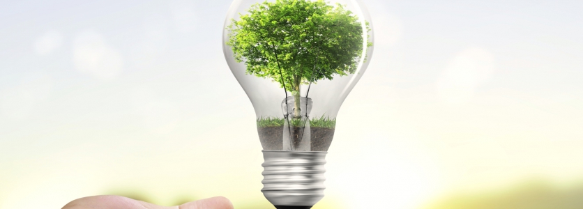Cómo ahorrar energía en el hogar